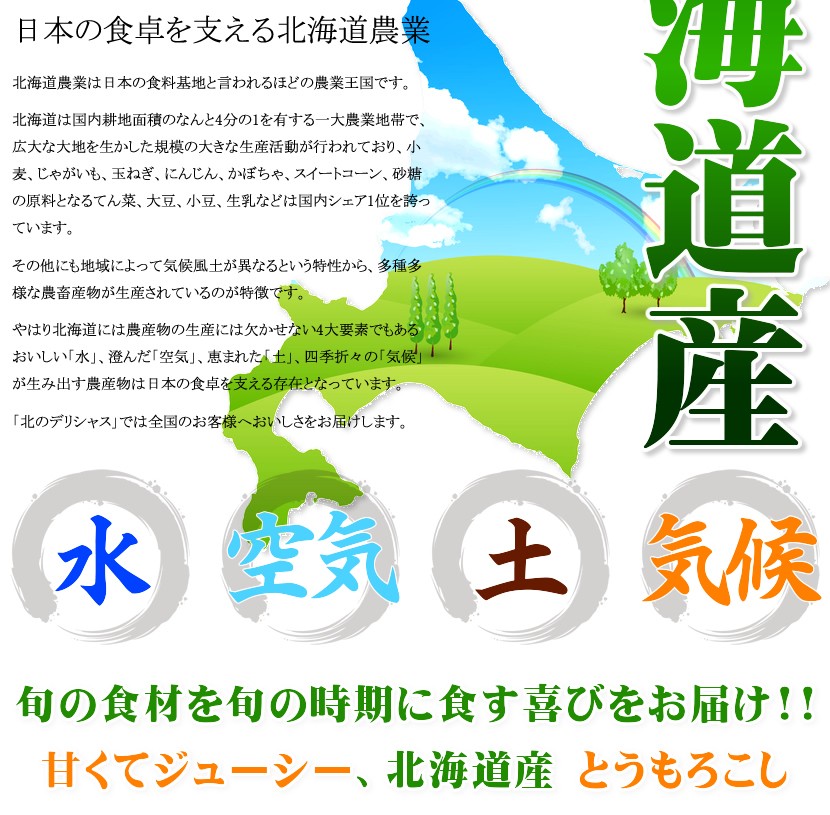 北海道 とうもろこし ホワイトショコラ