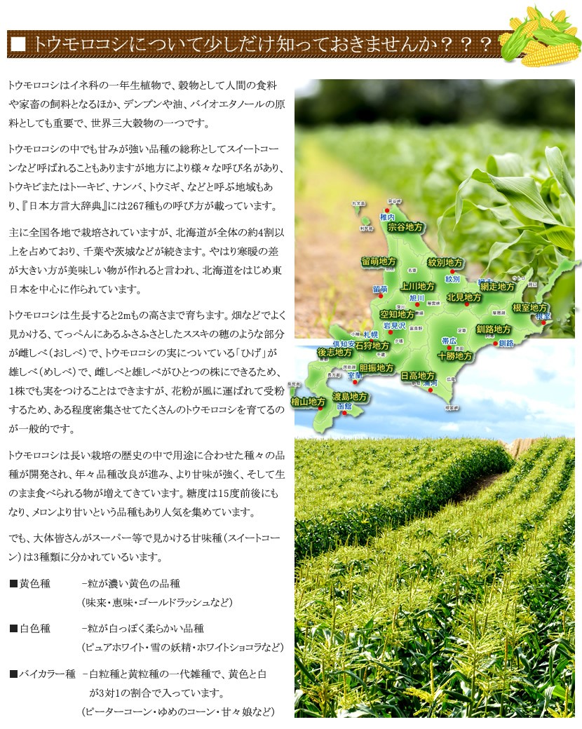 北海道 とうもろこし ホワイトショコラ