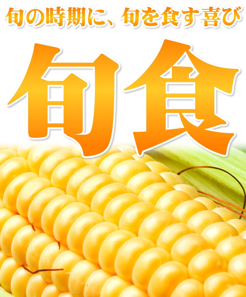 予約】北海道産 とうもろこし ホワイトショコラ 10本入り (冷蔵便) 朝