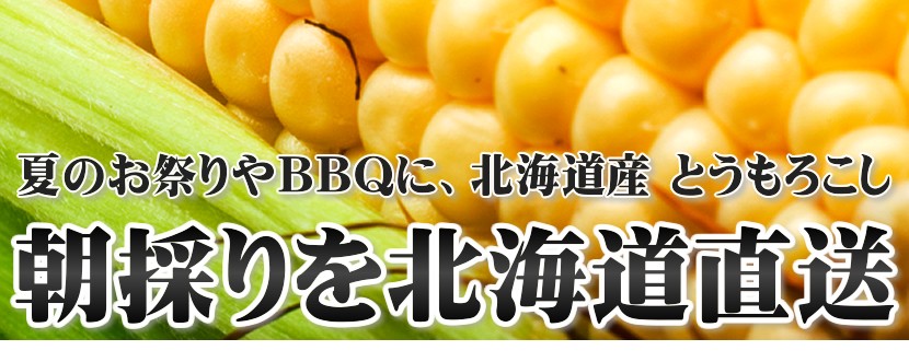 北海道 とうもろこし ホワイトショコラ