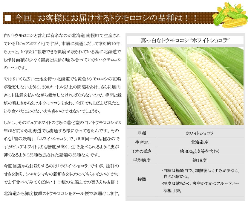 予約】北海道産 とうもろこし ホワイトショコラ 10本入り (冷蔵便) 朝