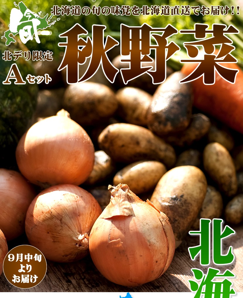 北海道産 秋野菜セット