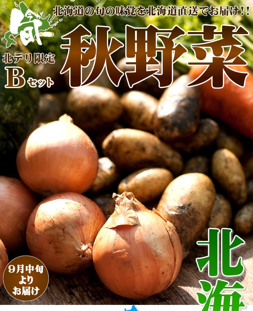 出荷中】北海道産 野菜セットBs 5kg(メークイン 3kg・玉ねぎ 2kg) じゃがいも 玉葱 野菜セット 野菜詰め合わせ 北海道 グルメ 送料無料  お取り寄せ :nj-zyagatama-bs-set:北のデリシャス - 通販 - Yahoo!ショッピング