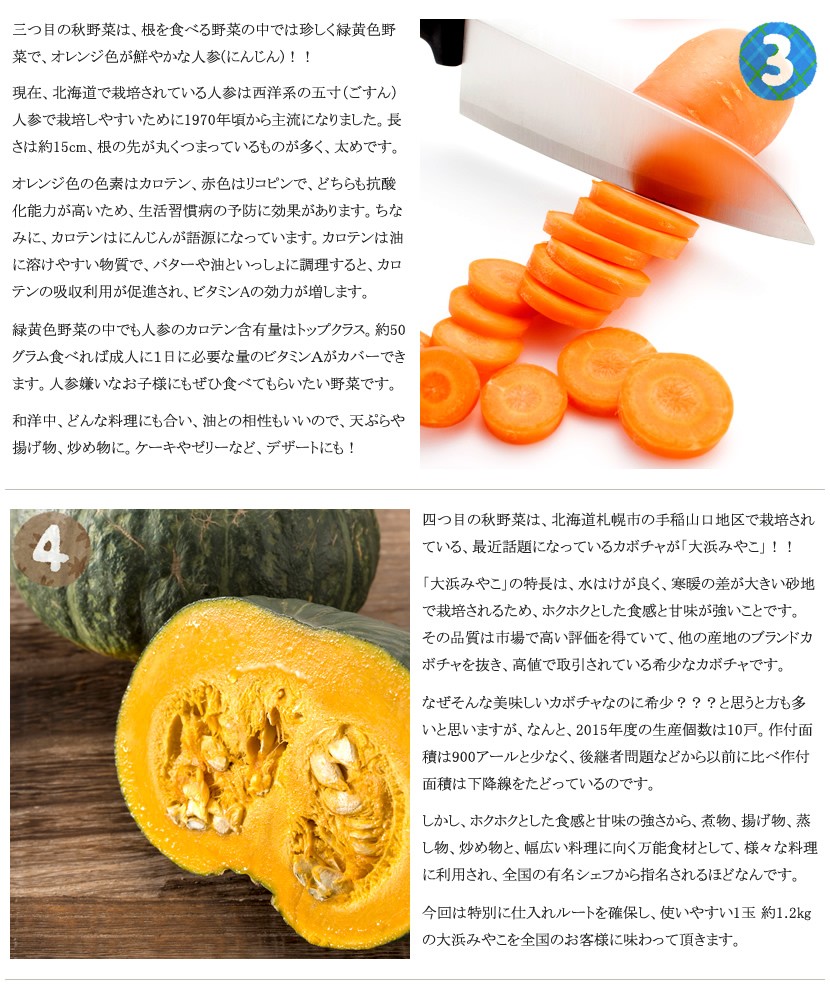 北海道産 秋野菜セット