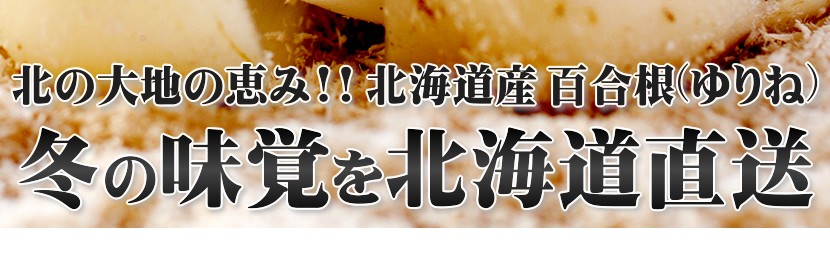 北海道産 百合根