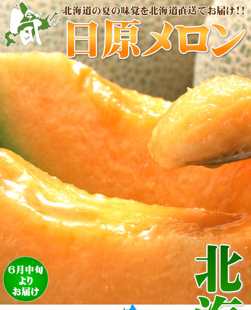 北海道産 日原メロン