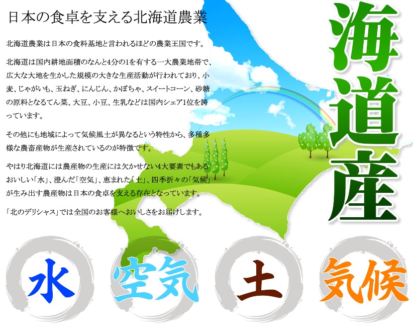 北海道産 らいでんスイカ