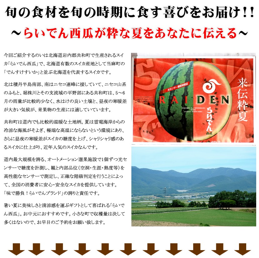 北海道産 らいでんスイカ