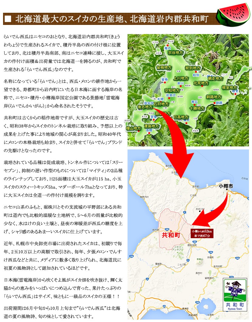 北海道産 らいでんスイカ