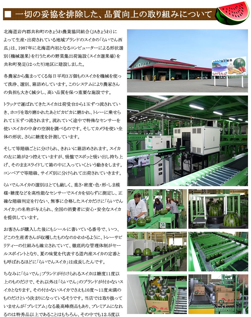 北海道産 らいでんスイカ