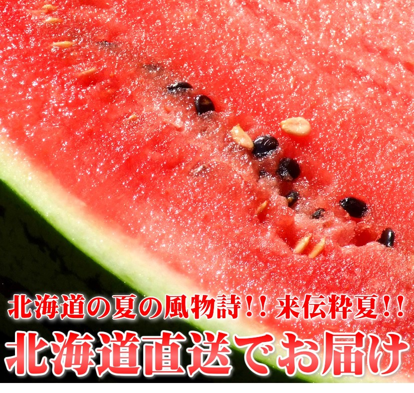 北海道産 らいでんスイカ