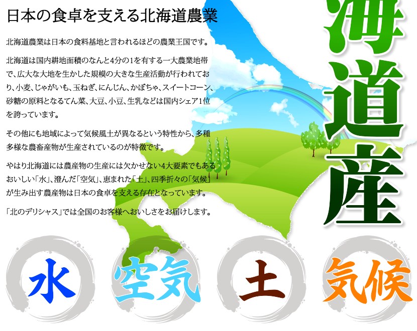 北海道産 天然 根曲がり竹