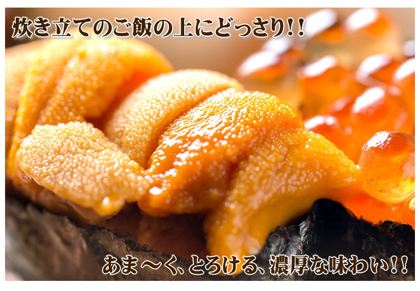 ロシア産 塩水 生エゾバフンウニ