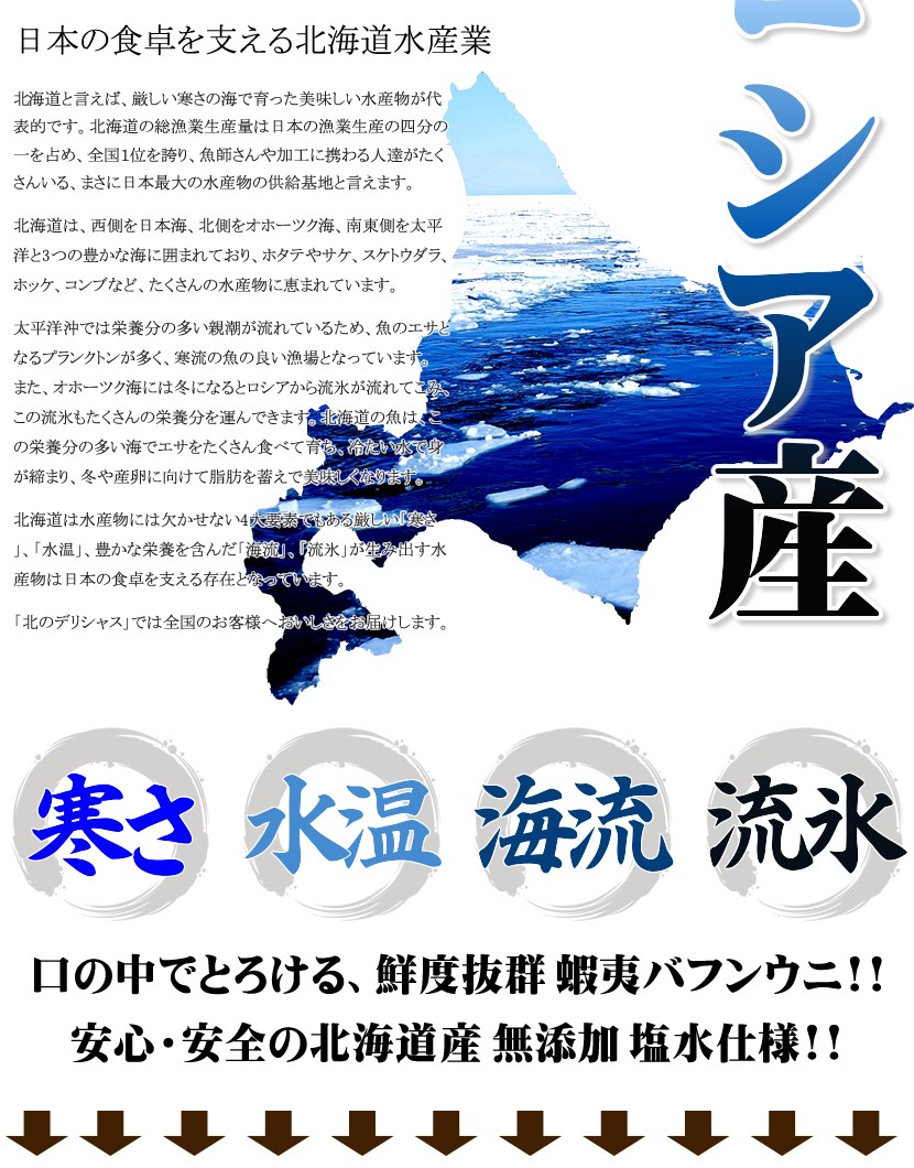 ロシア産 塩水 生エゾバフンウニ