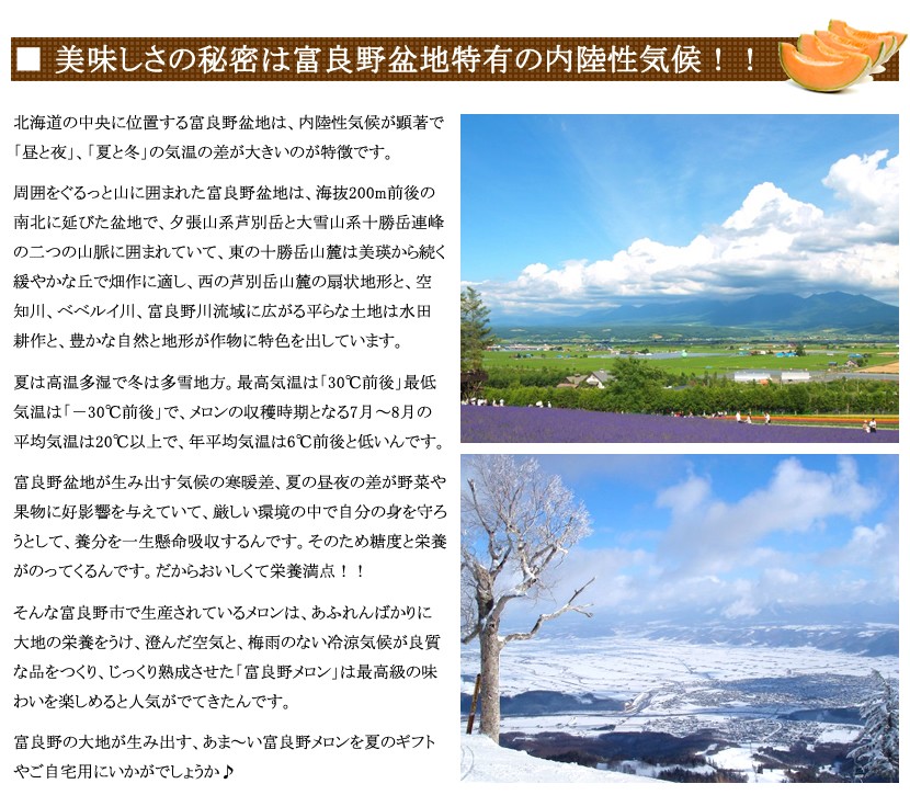 北海道産 富良野メロン