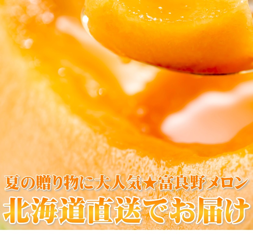 北海道産 富良野メロン