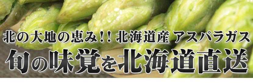 北海道産 アスパラ
