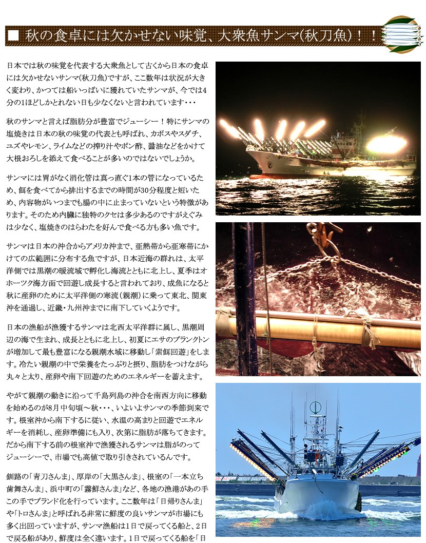 北海道産 秋刀魚(サンマ)