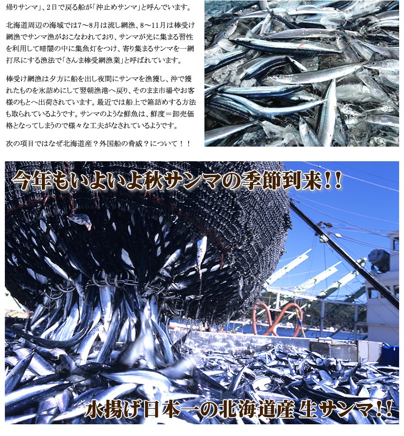 北海道産 秋刀魚(サンマ)