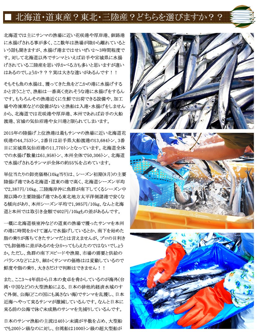 北海道産 秋刀魚(サンマ)