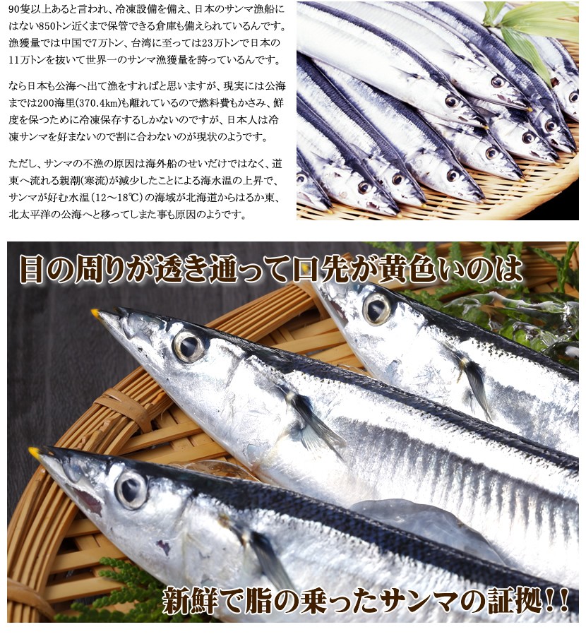 北海道産 秋刀魚(サンマ)