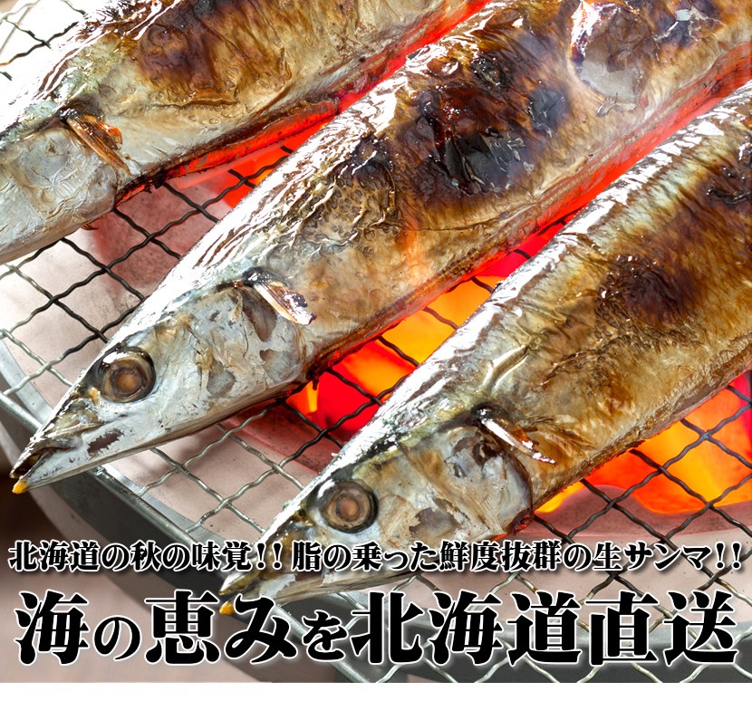 北海道産 秋刀魚(サンマ)