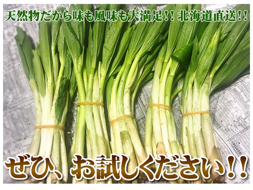 北海道産 アズキナ