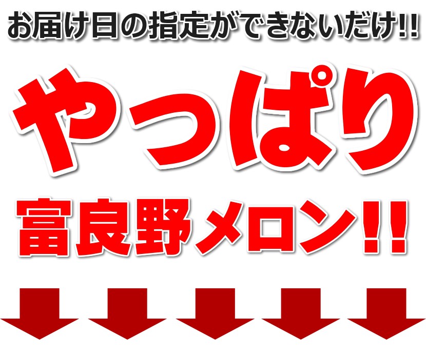 北海道産 富良野メロン