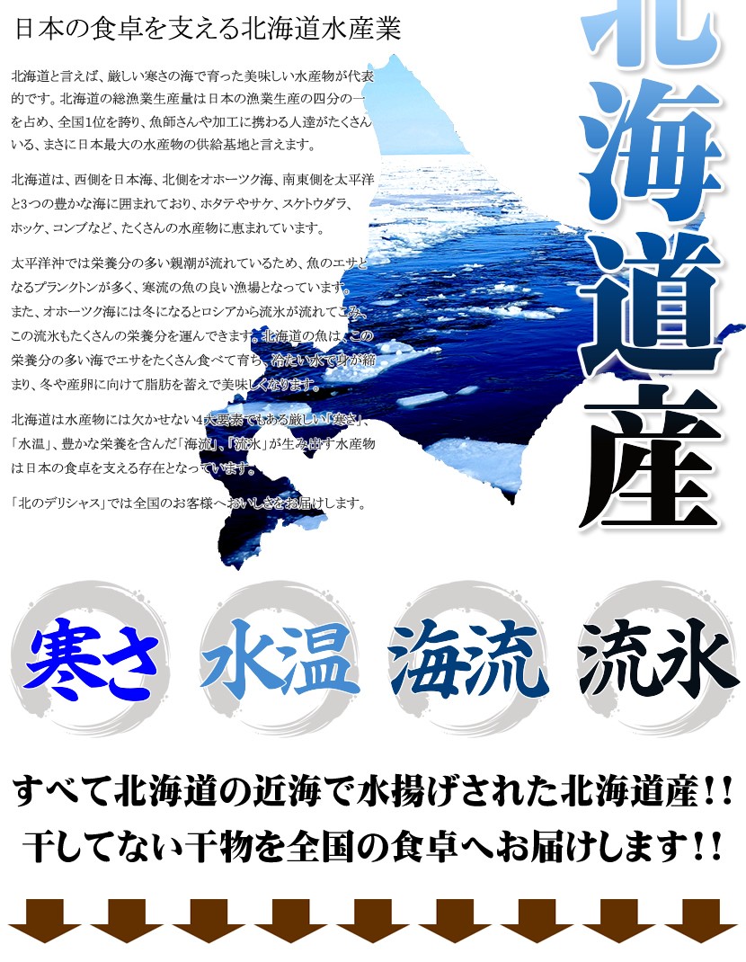 北のデリシャス 北海道産 干物 ふじと屋 その他 水産 Yahoo ショッピング
