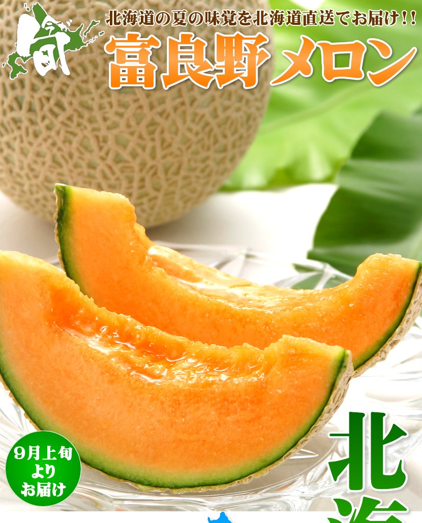北海道産 富良野メロン