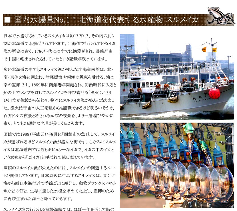 北海道産 スルメイカ