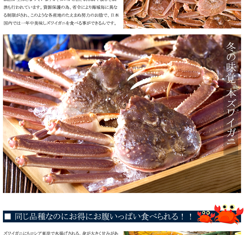 カナダ産 ズワイガニ