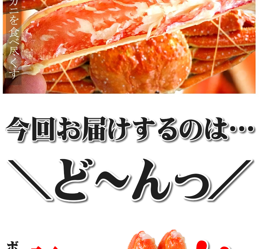 カナダ産 ズワイガニ