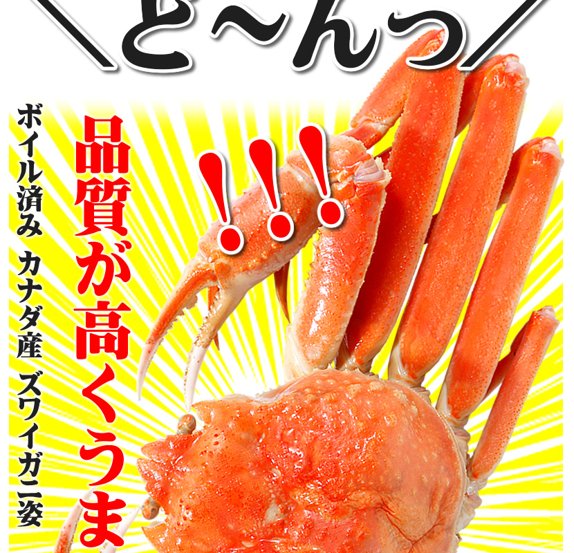 カナダ産 ズワイガニ