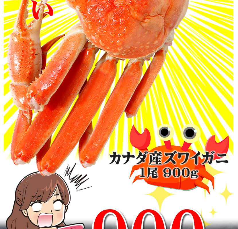 カナダ産 ズワイガニ