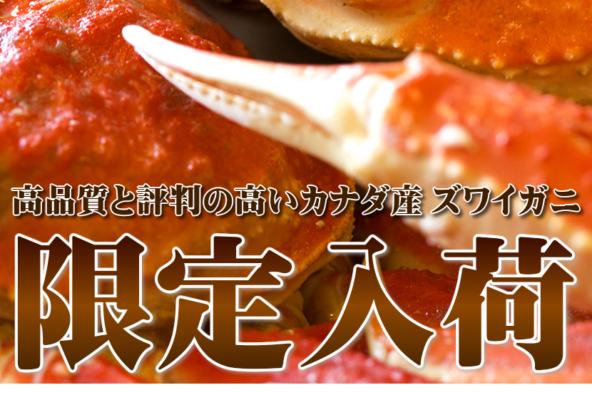 カナダ産 ズワイガニ