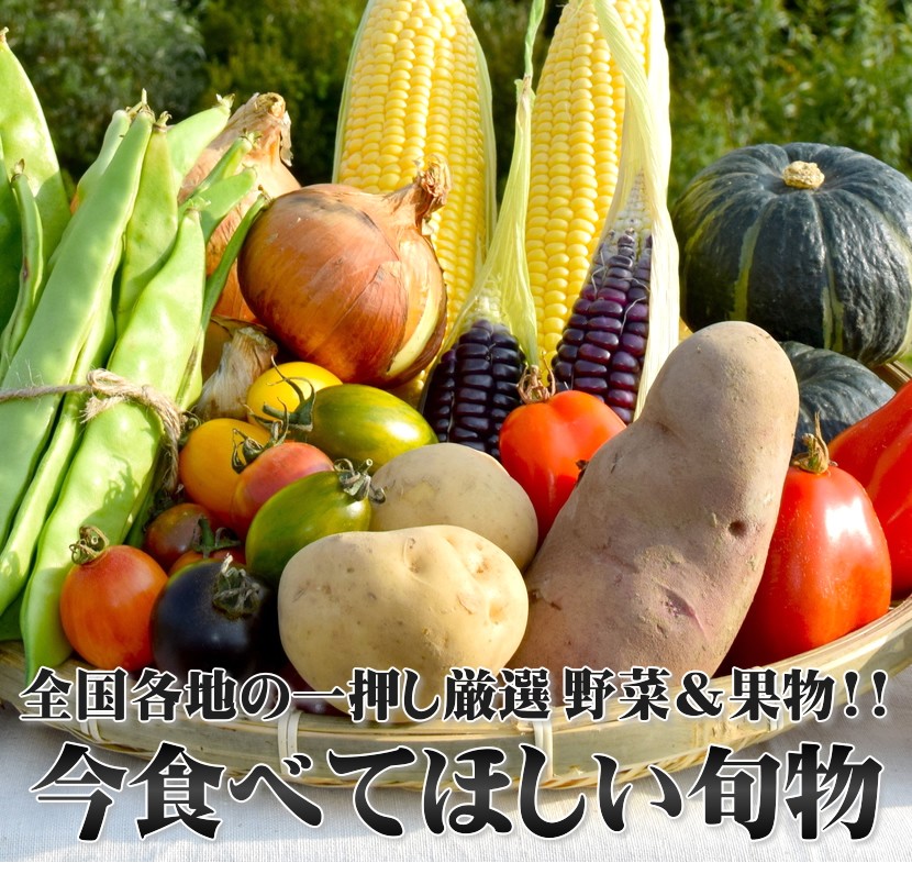 高評価新品 遠藤商事 関西型 野菜抜細工セット 大 16点セット(新セット