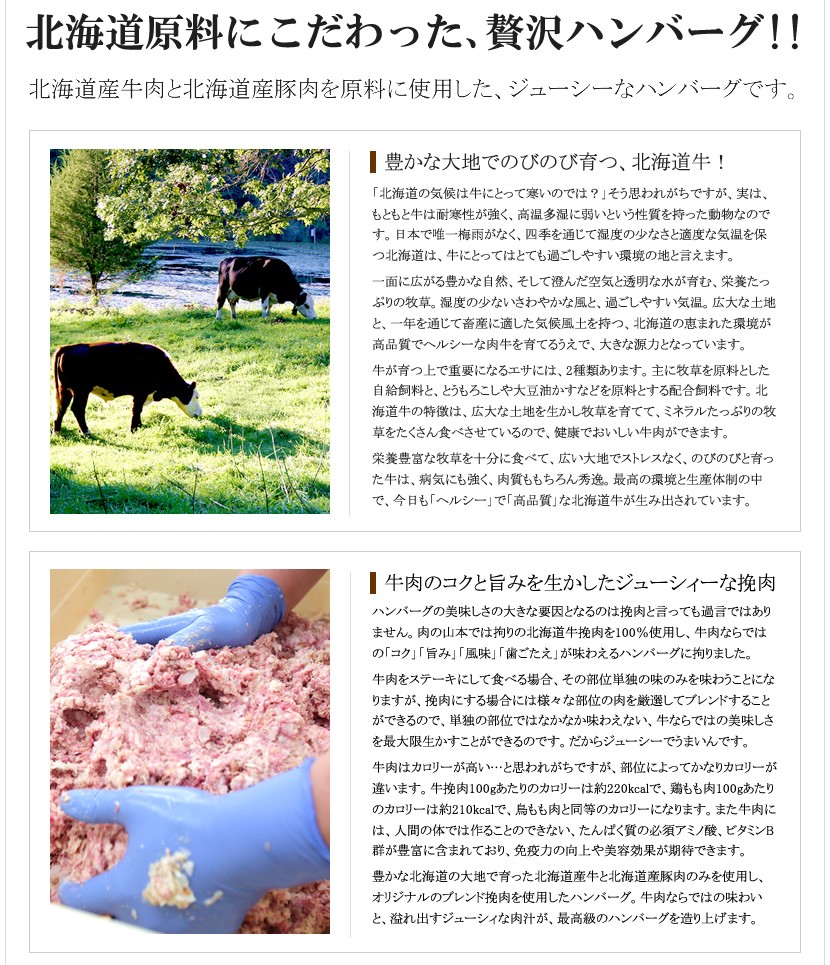 北海道産 ハンバーグ