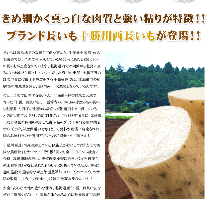 予約】長いも 北海道産 十勝川西 長芋 10kg(2Lサイズ/12本入り) ながいも 長薯 とろろ とろろ芋 野菜 ギフト 北海道 グルメ 送料無料  お取り寄せ :nj-kawanishinagaimo-10kg:北のデリシャス - 通販 - Yahoo!ショッピング