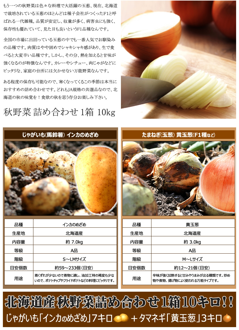 北海道産 秋野菜セット