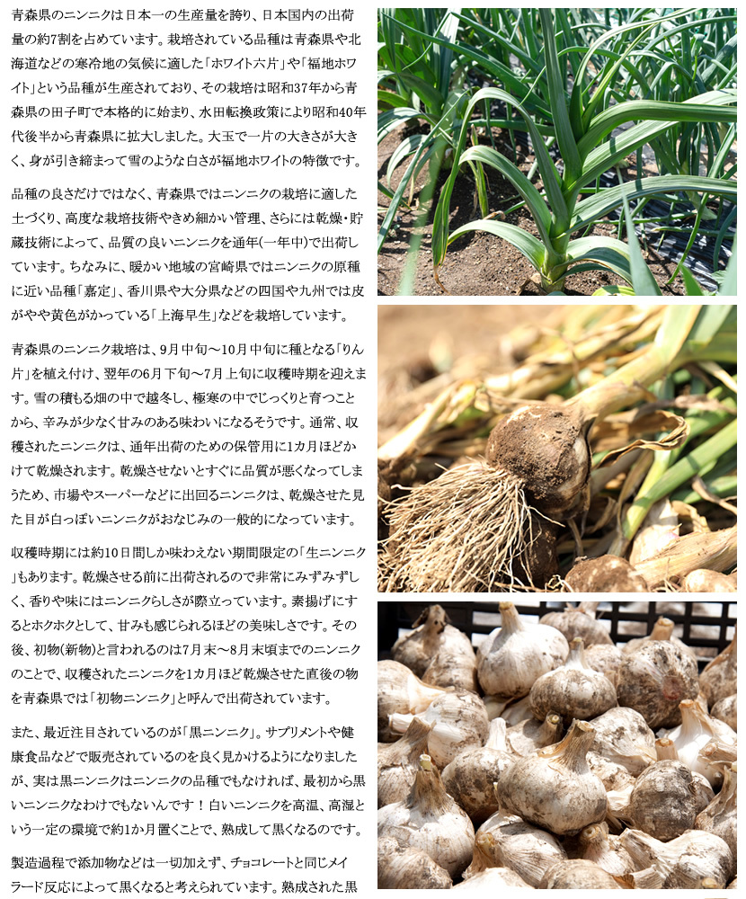 青森県 にんにく
