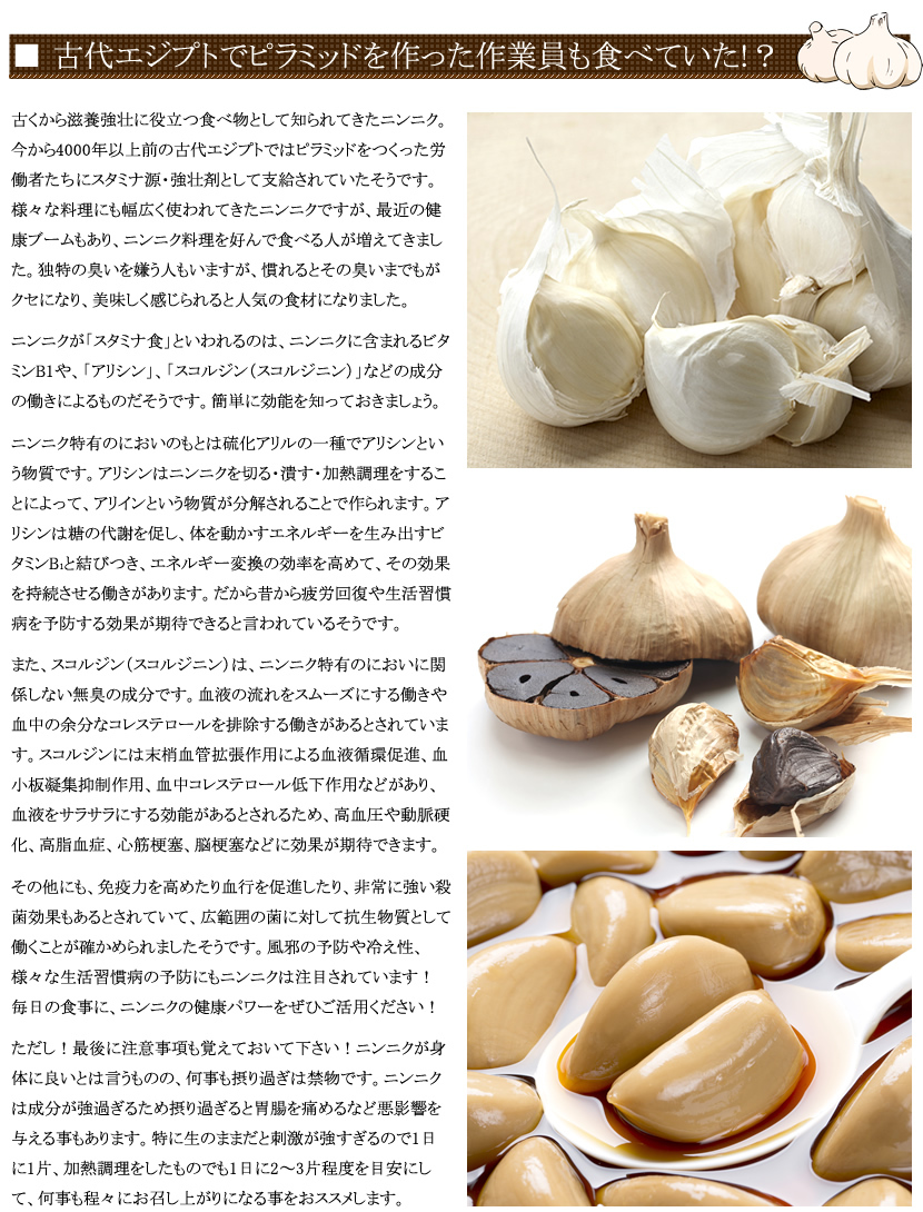 青森県 にんにく