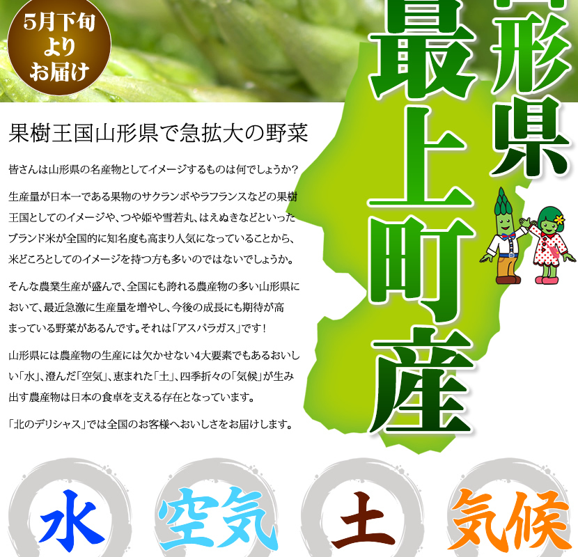 山形県産 アスパラガス