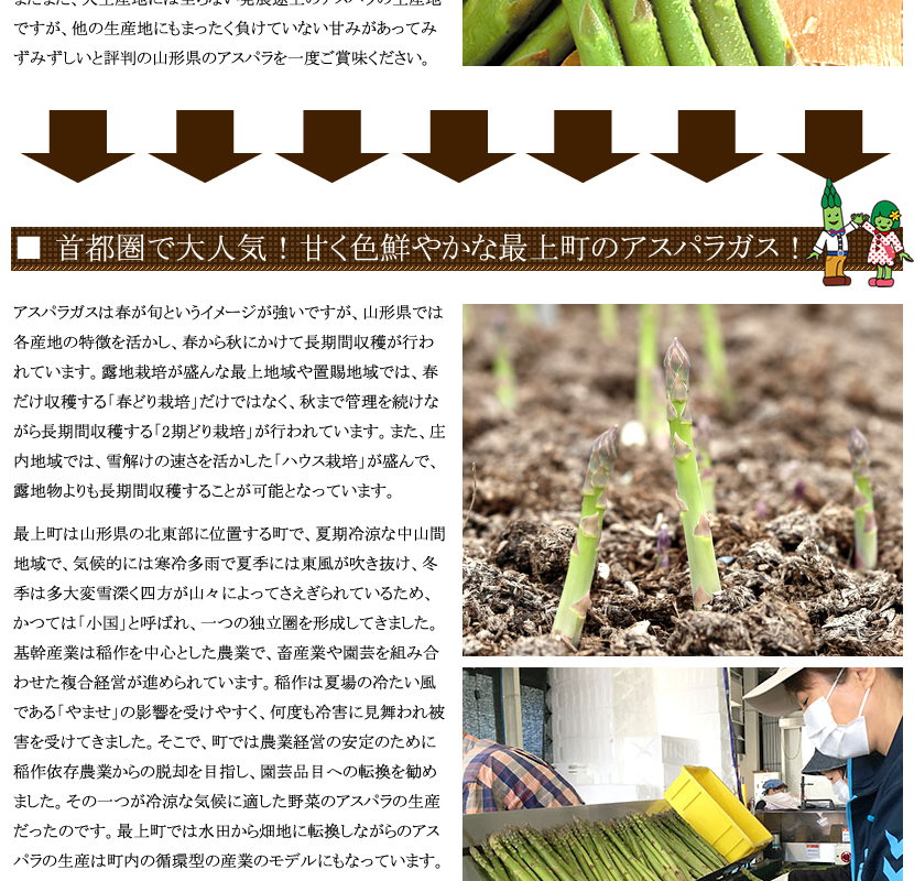 山形県産 アスパラガス
