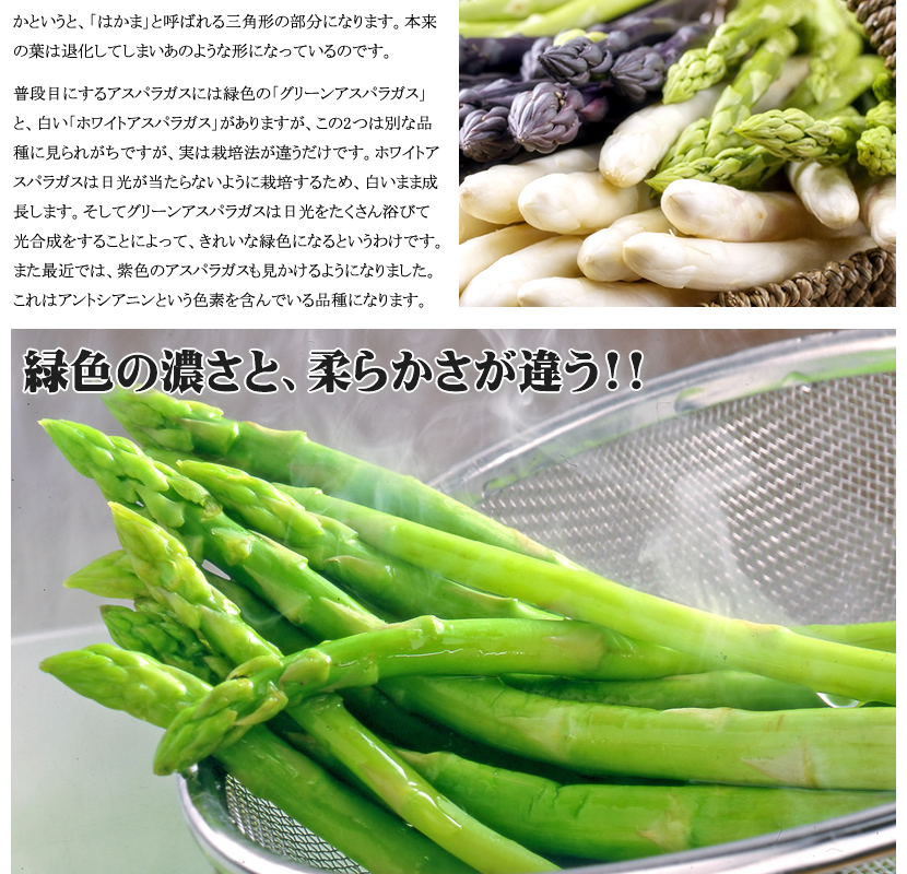 山形県産 アスパラガス