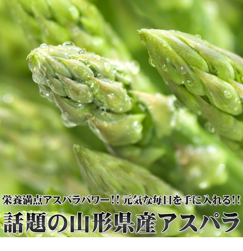 山形県産 アスパラガス