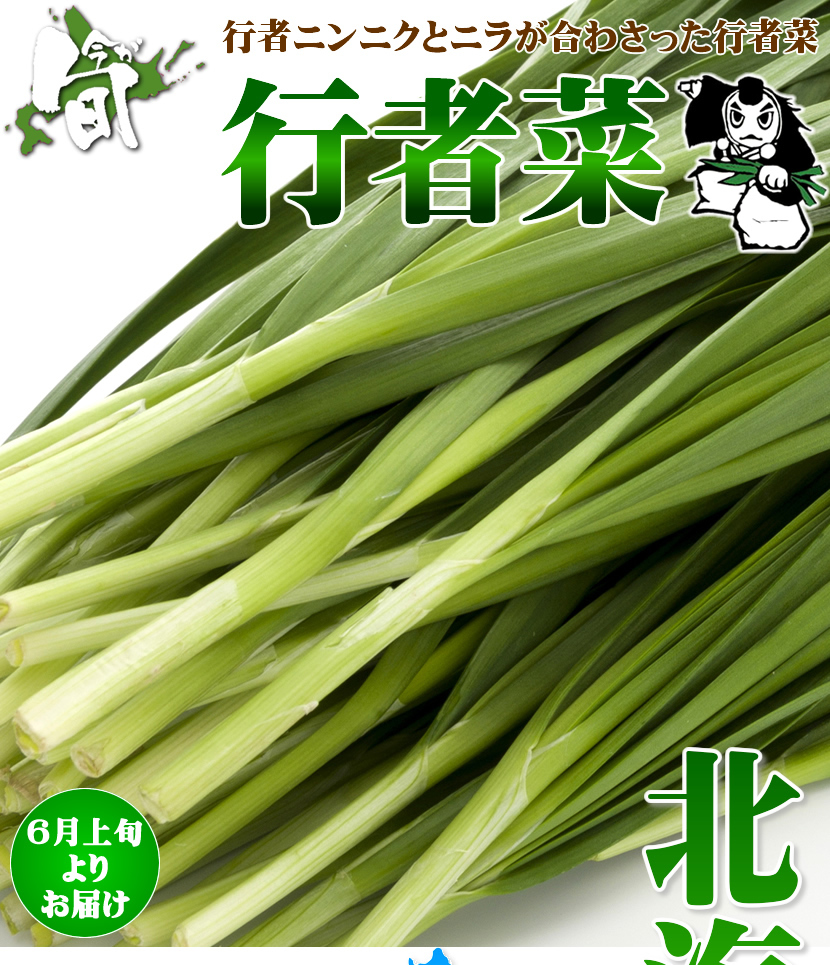 予約/指定日不可】北海道 網走産 行者菜 1kg(100g×10束入り) 季節限定 北海道産 ぎょうじゃな 行者ニンニク×ニラ 野菜 山菜 グルメ  送料無料 お取り寄せ :nj-gyojana-100g-10p:北のデリシャス - 通販 - Yahoo!ショッピング