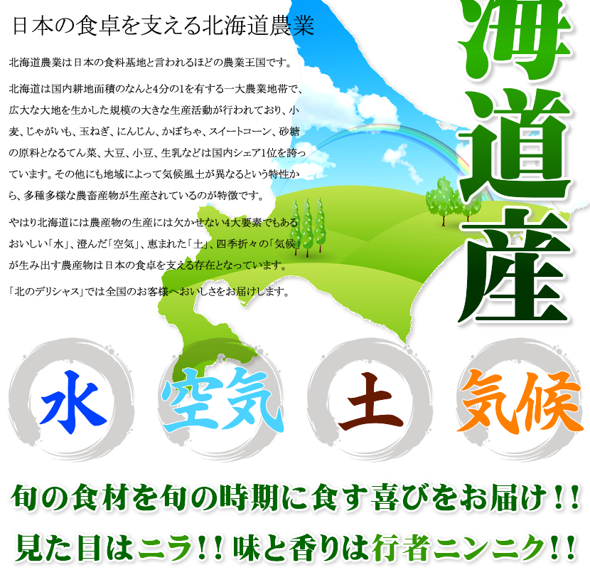北海道 網走産 行者菜