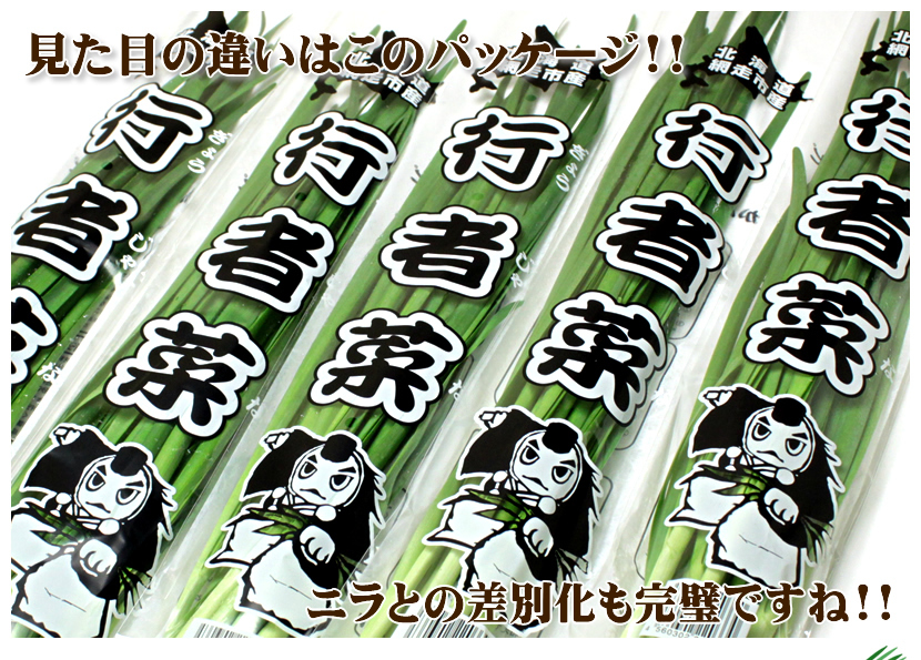 北海道 網走産 行者菜