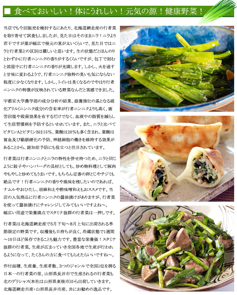 北海道 網走産 行者菜